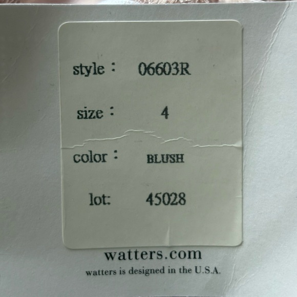 Watters Bridesmaids Aria Lace V-Neck Tulle Gown 6603-Brielle in Blush New Sz 4 - Picture 10 of 12